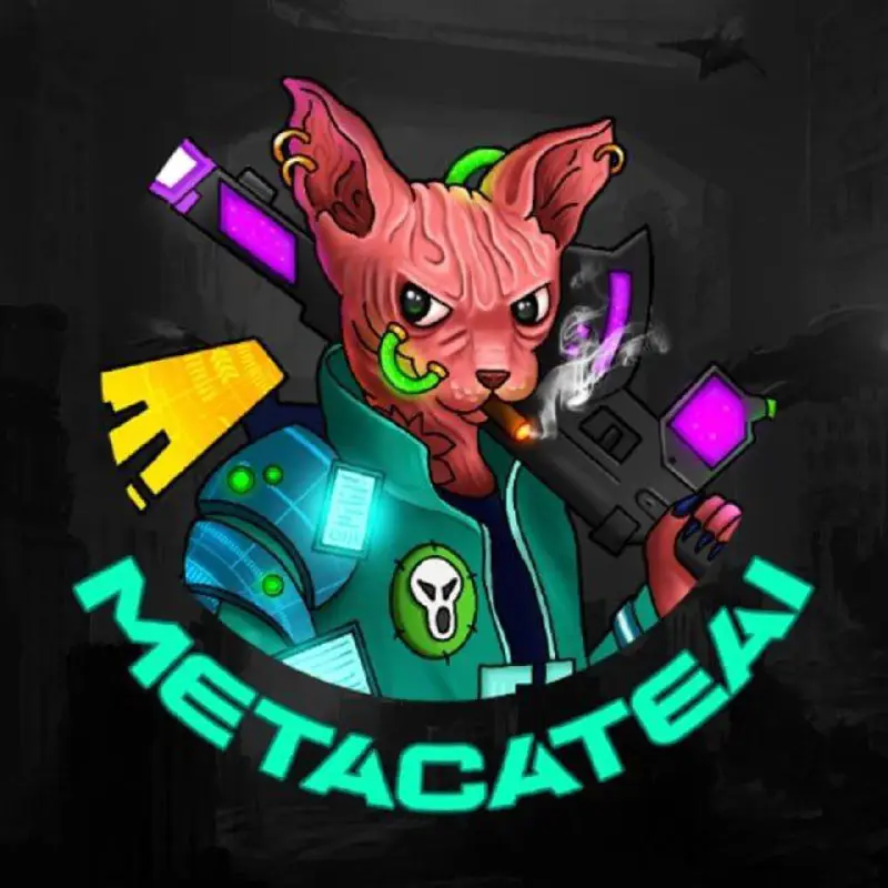 [#METACATEAI](?q=%23METACATEAI) team is now KYCed !