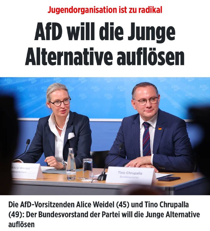 *****🇩🇪*** AfD will Jugendorganisation auflösen**