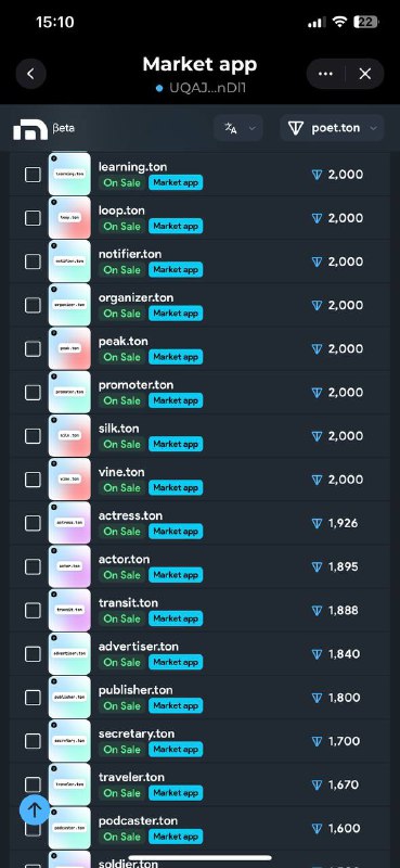 TON Domains Web3.0