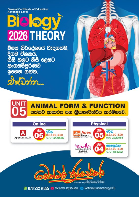 ***✨*** සුබ අලුත් අවුරුද්දට, වැදගත්ම පාඩම!