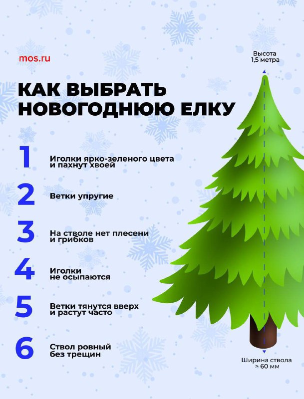 ***🌲*****Напоминаем, что столичные елочные базары** [**откроются**](https://www.m24.ru/news/gorod/02122024/748516) …