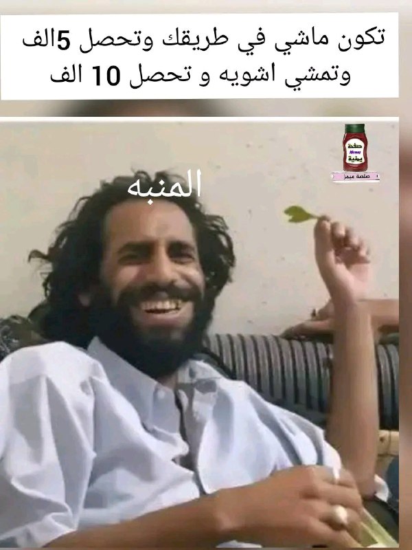 صلصةه ميمز