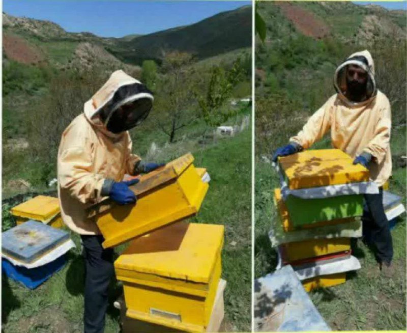 ***🔆***برداشت عسل طبیعی، درمانی