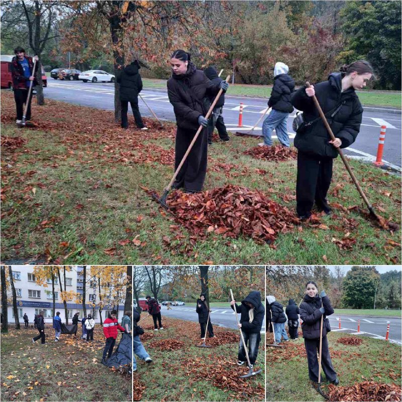 ***🍁*** Месячник по уборке территории Заводского …