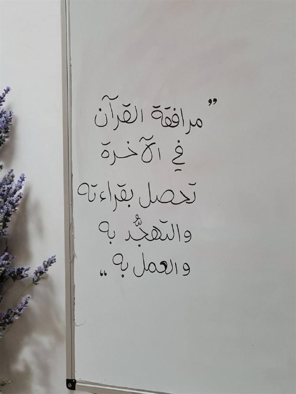 قناة محابر