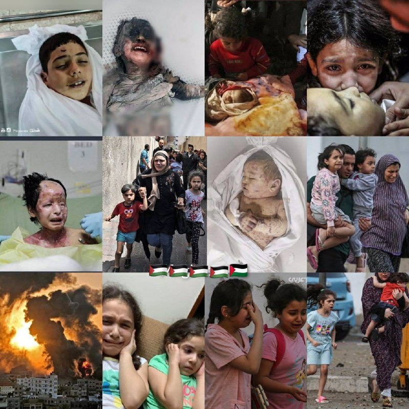 حبيب الله محسن حججي