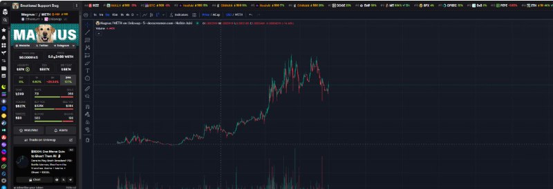 $MAGNUS 50k to 1m marketcap ***✅***X20 …