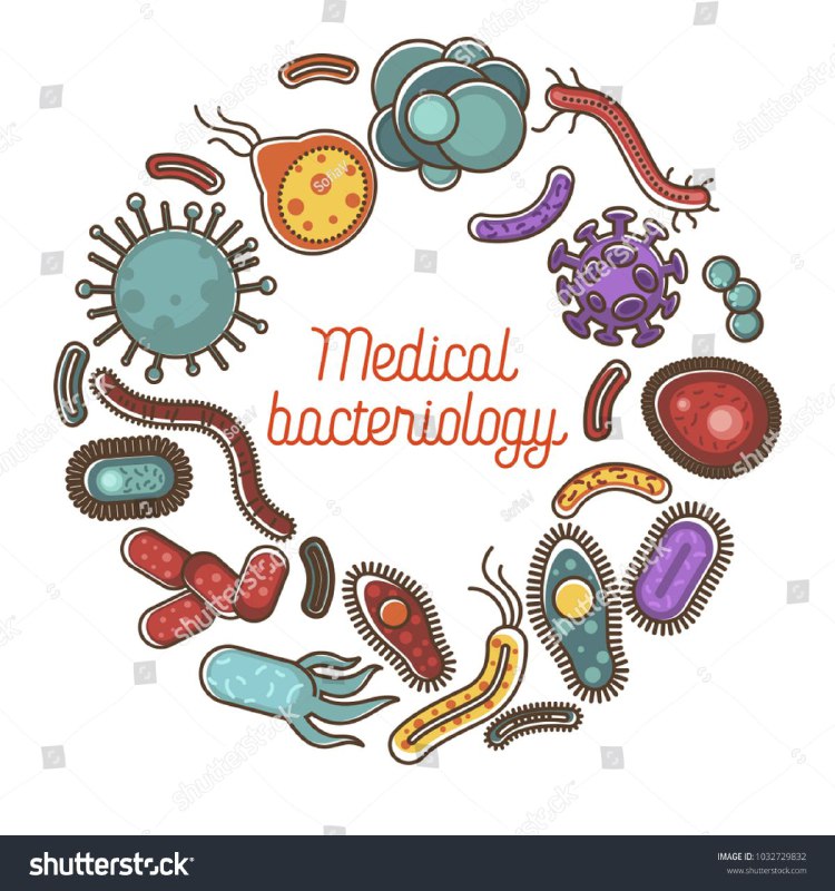 ***🟨*** Enterobacteriaceae: