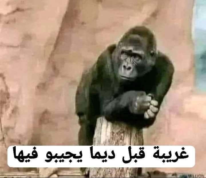 لما خدينا كلام دفعات يلي قبلنا …