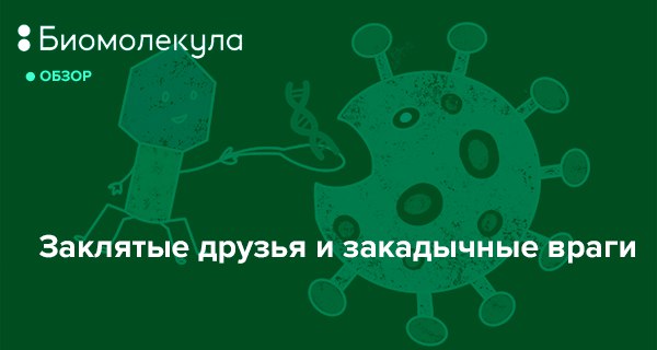 Дорогие коллеги!