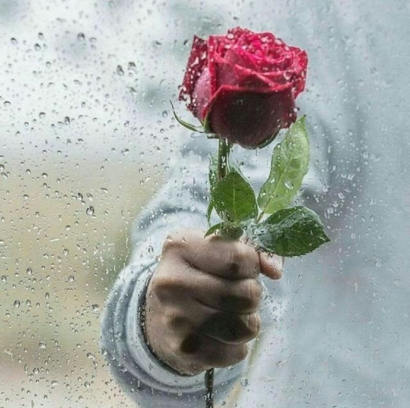 نیازمندیم به خبرهای خوب