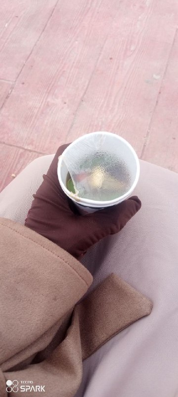 " لم يبق في قلبي شيء …