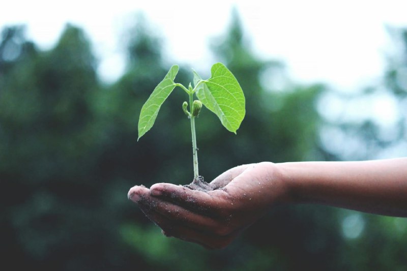 Crisis climática: La emergencia silenciosa que …