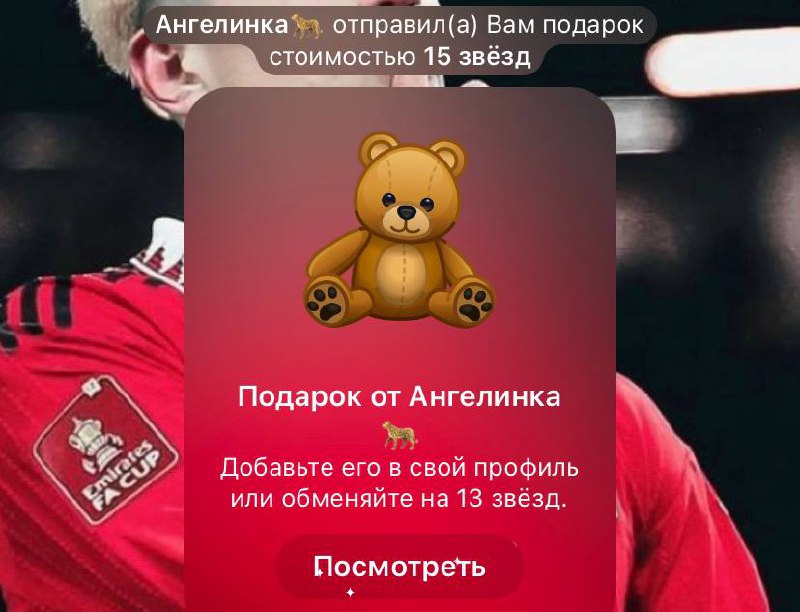 ~***🐻***~