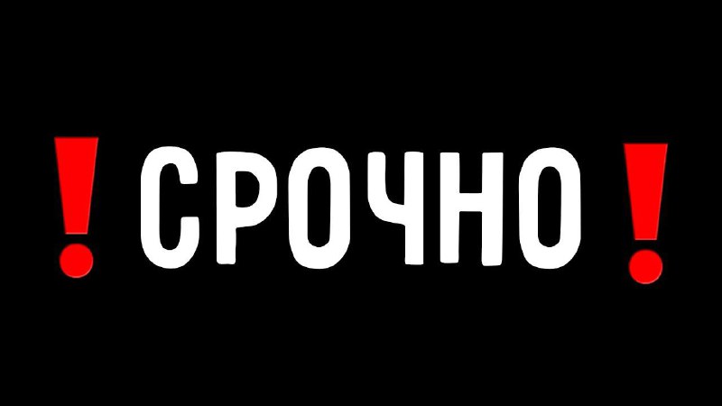 Дорогие, гости