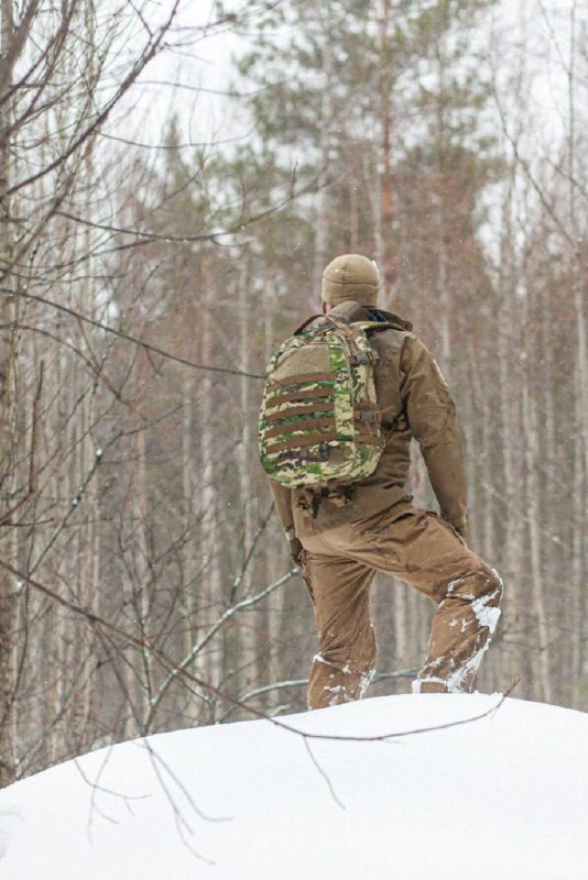 Милитарист Луганск