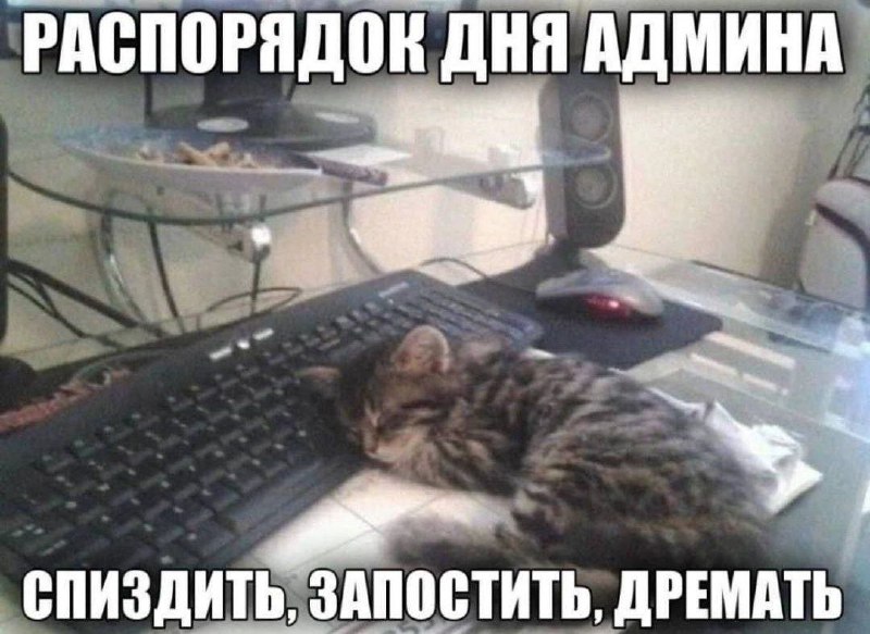 [#mem](?q=%23mem) рабочая методичка ***😋***