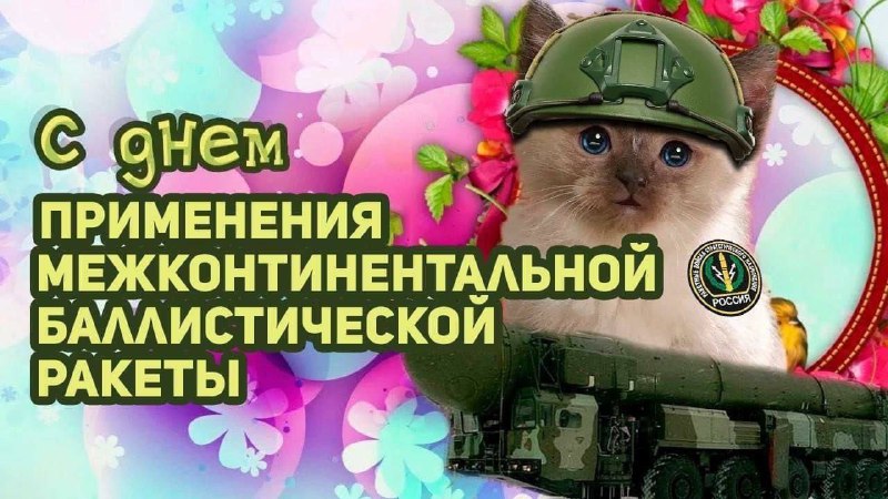 Котики и Кощьки Tactical