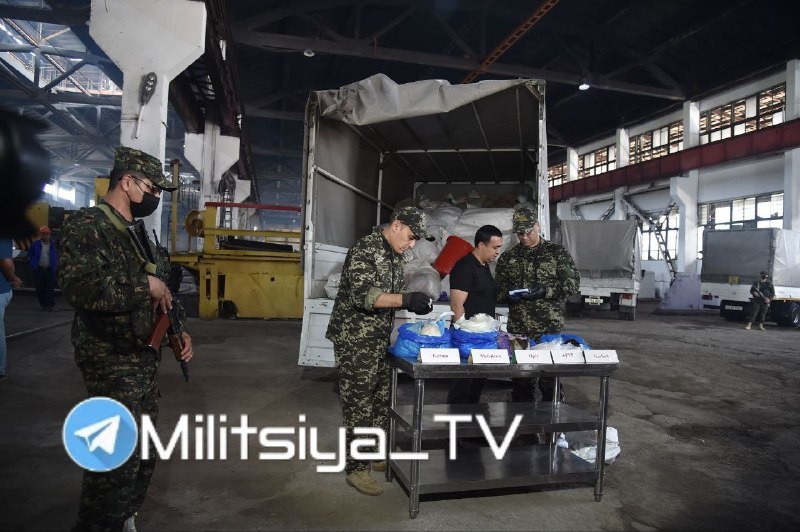 MILITSIYA TV | РАСМИЙ КАНАЛ