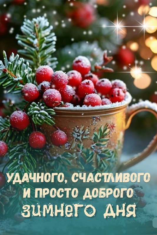 Удачного дня!