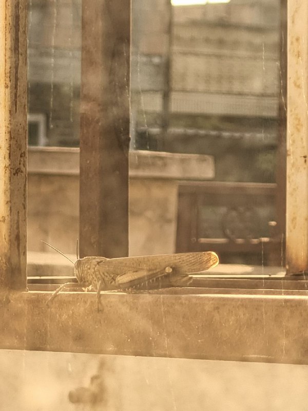 منظره ی پشت پنجره***?***