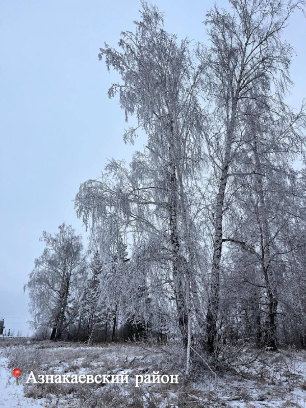 *****🥰***Доброе утро, друзья!