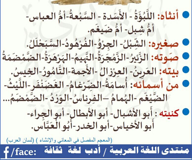 مِن كُل بُستان زهرَة
