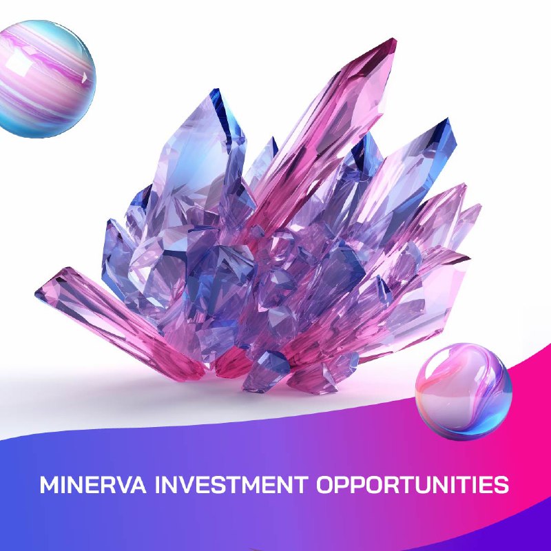 **Minerva Investment Opportunities**