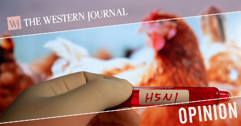 Avian flu, also known as H5N1 or bird flu, is quite rare among humans at present. Birds can transmit it …