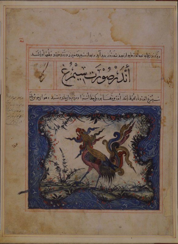 Simurgh