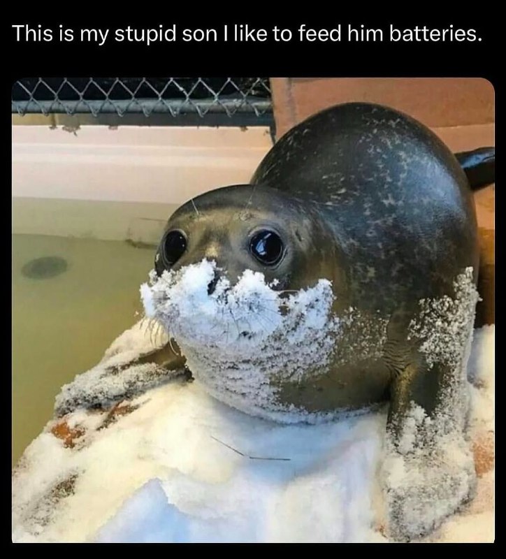 Minimal's Meme Stash