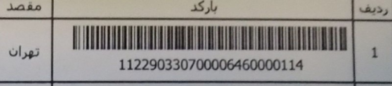 محسنی نژاد