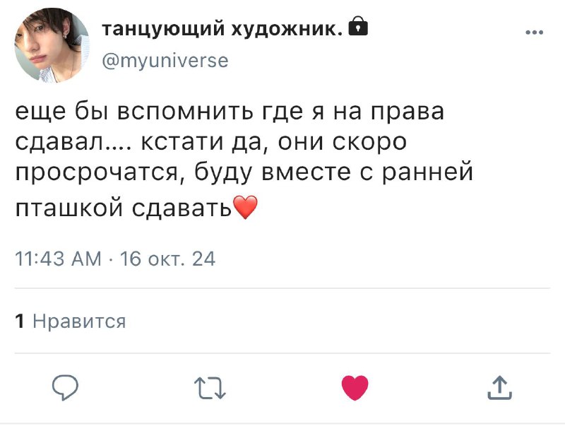 Лунный сад 🌙