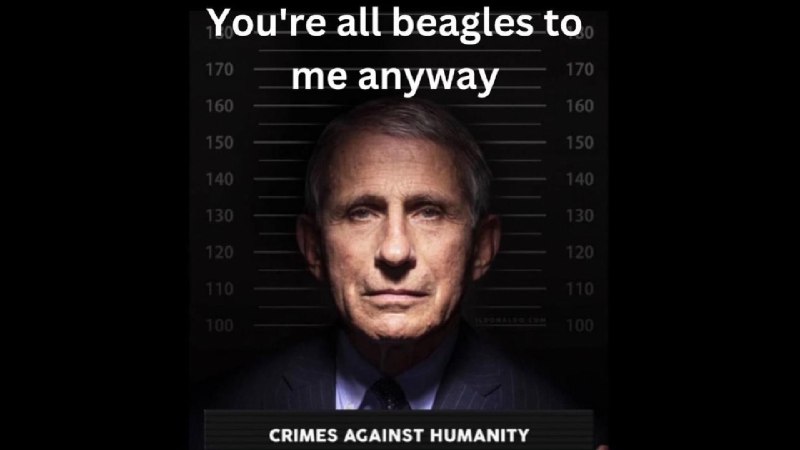 **Elon Musk Doubles Down Attacks on Serial Liar Fauci: “You’re All Beagles to me Anyway… Crimes Against Humanity”**