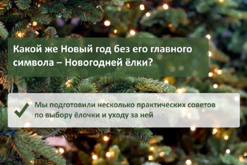 ***🎄*** Какой же Новый год без …