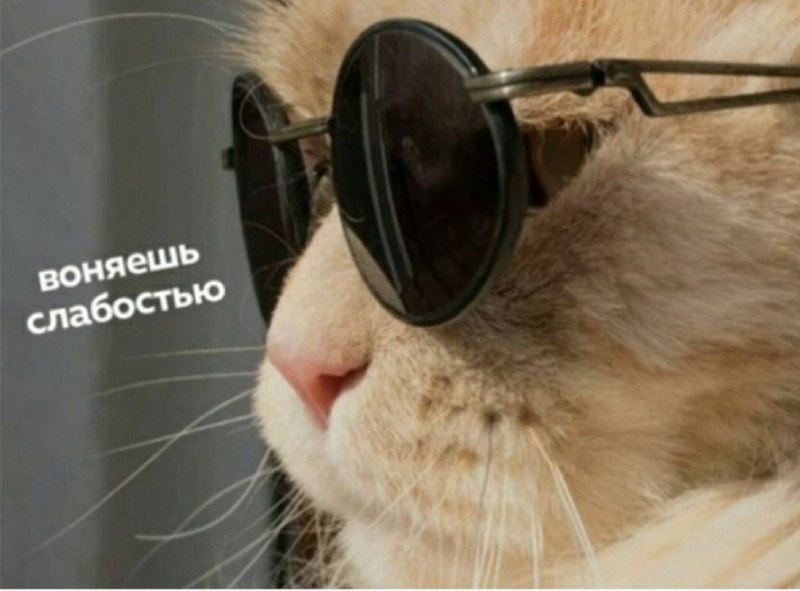 Я: Надо выучить аж ТРИ новых …