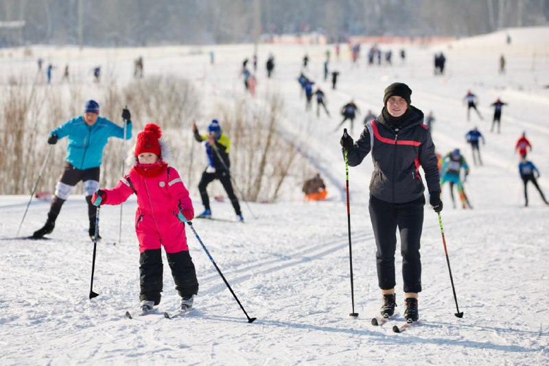 ***⛷***184 лыжные трассы будут организованы в …