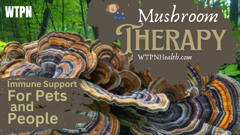 ***?*** MMU MUSHROOM THERAPY.