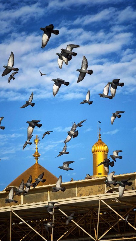 السَّلامُ عَلَى اسمِ اللهِ الرَّضِيِّ وَوَجهِهِ …