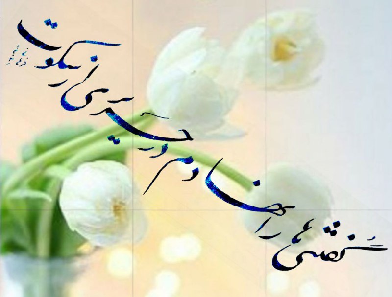 جناب آقای هادی آلبوفرهانی