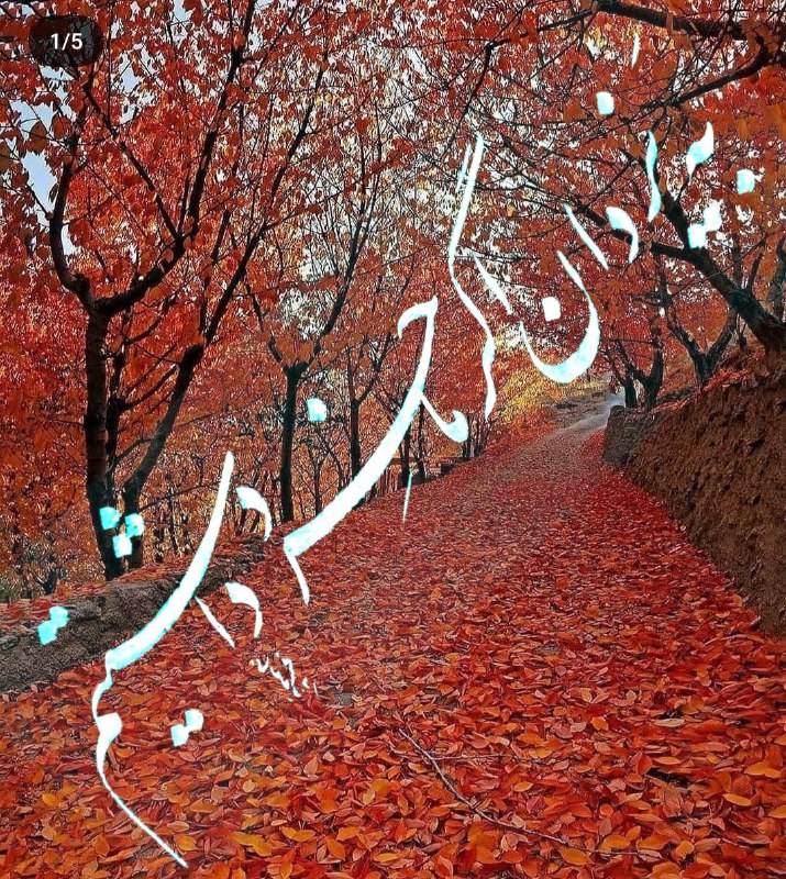 جناب آقای هادی آلبوفرهانی