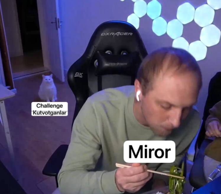 Mirrorverse