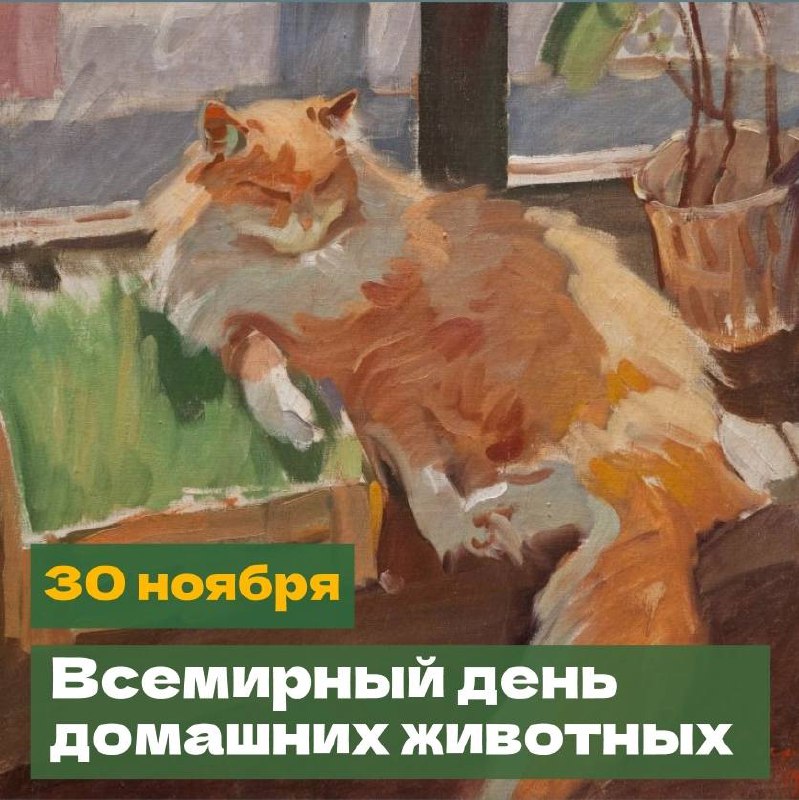 *****😼***Сегодня, 30 ноября, Всемирный день домашних …