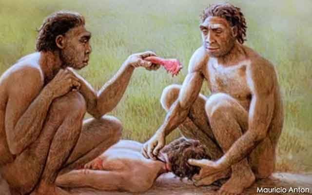 **L’Homo antecessor il primo cannibale della …