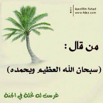 متعب الرشاش الله يرحمه ويغفر له