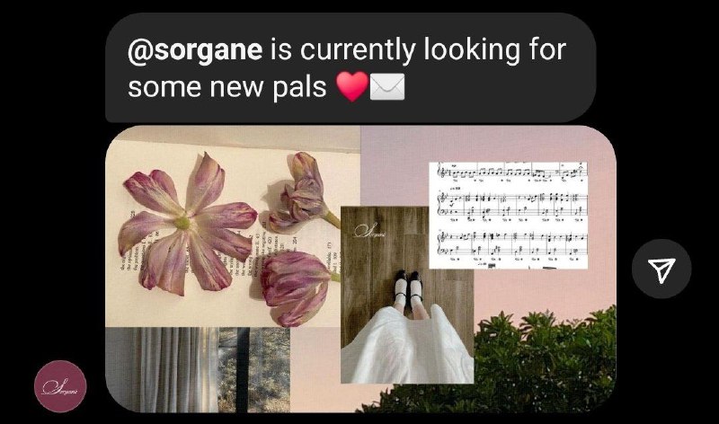 ‎dear mutuals, please help me to …