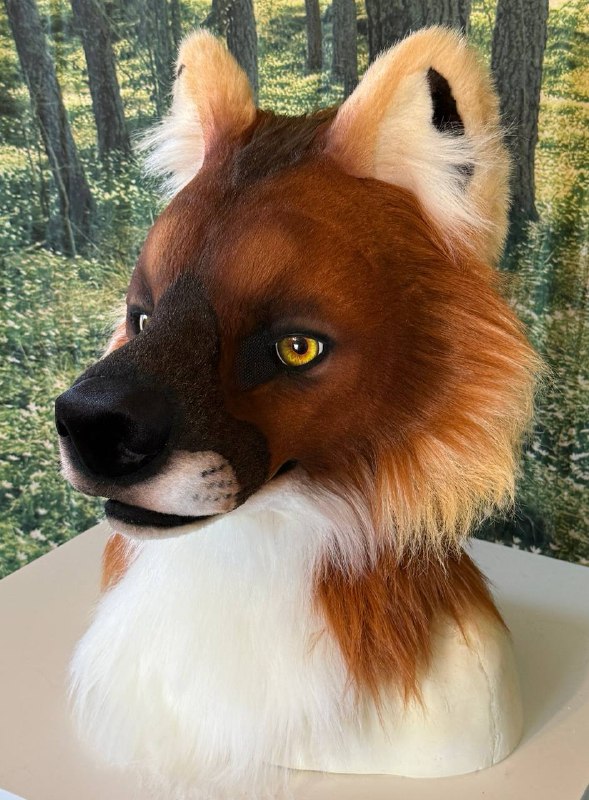 Dhole is on his way home, …