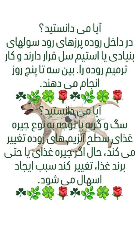 آیا می دانستید؟