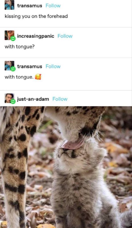 mlem mlems I guess