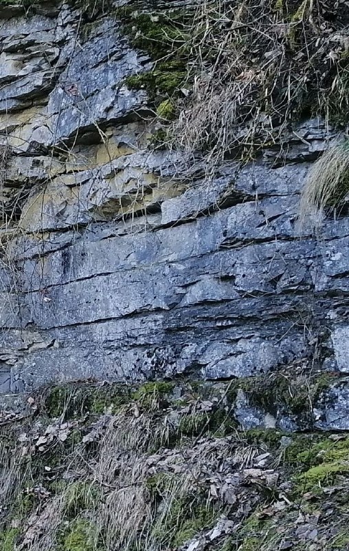 Deutsche Megalith-Stätten